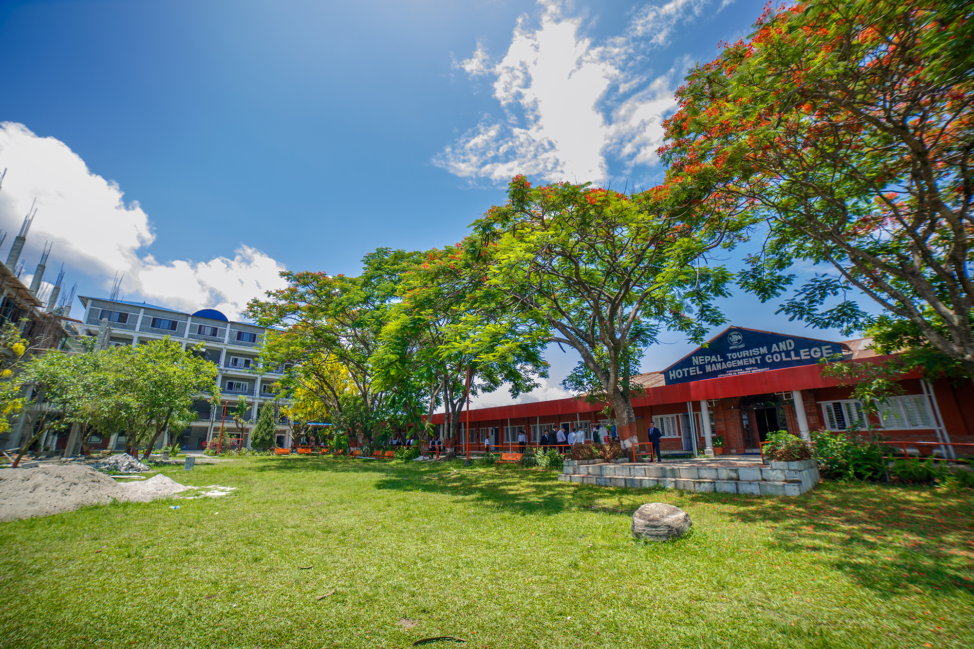 NTHMC Background
